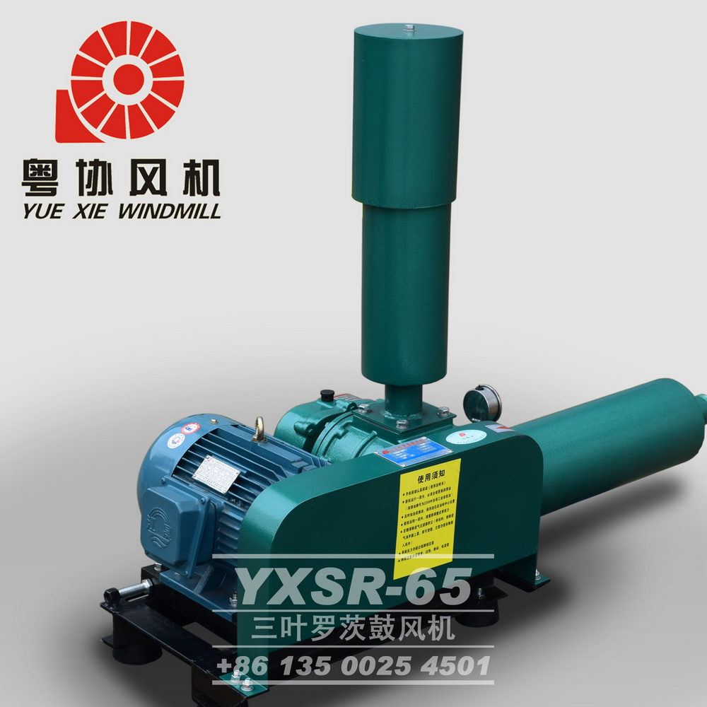 羅茨鼓風機生產(chǎn)廠家