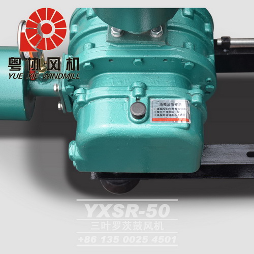 德協(xié)羅茨鼓風(fēng)機(jī)