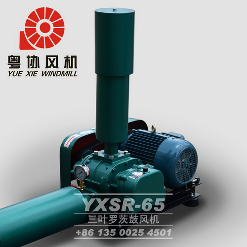 粉體輸送羅茨風(fēng)機(jī)