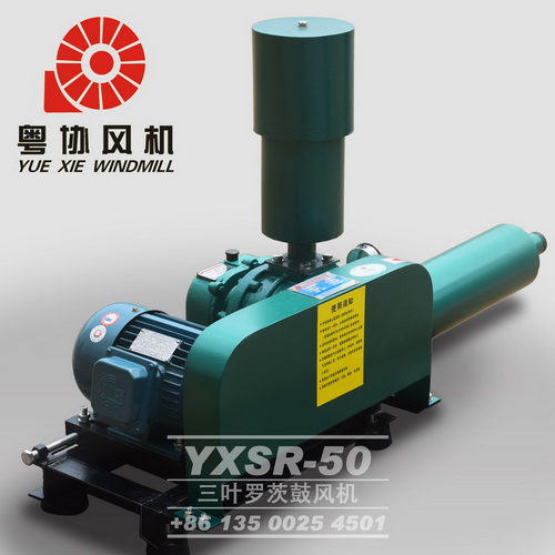 氣力輸送羅茨風(fēng)機(jī)