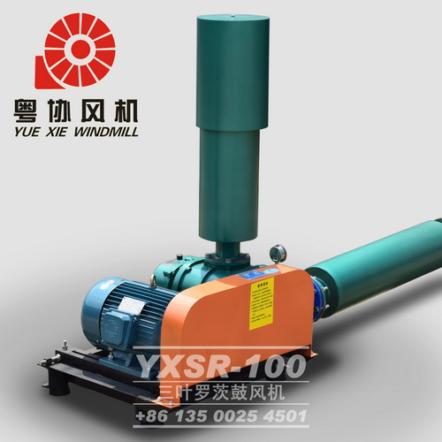 高壓羅茨鼓風機 高壓羅茨鼓風機