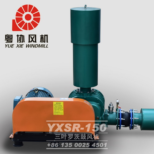 負(fù)壓羅茨鼓風(fēng)機(jī)