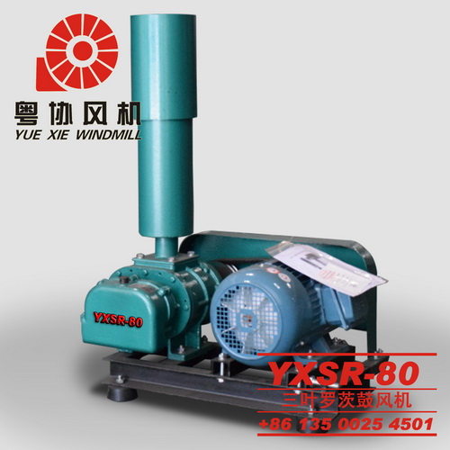 環(huán)保羅茨風(fēng)機(jī)