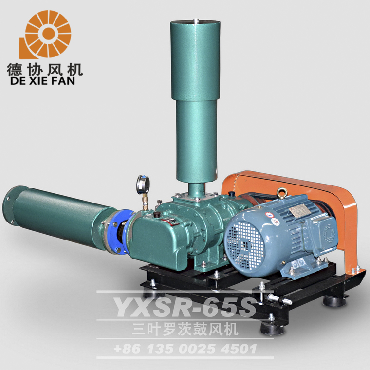 羅茨鼓風(fēng)機(jī)