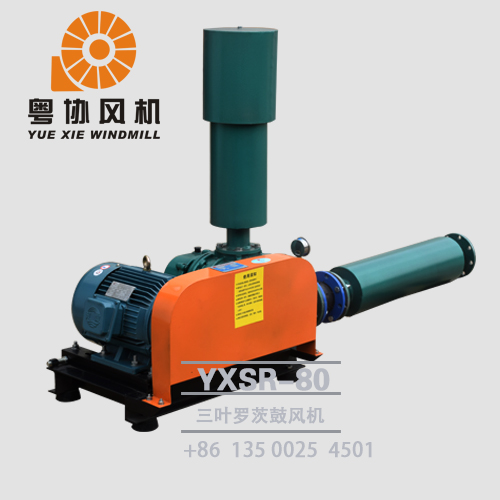 肇慶三葉羅茨鼓風(fēng)機