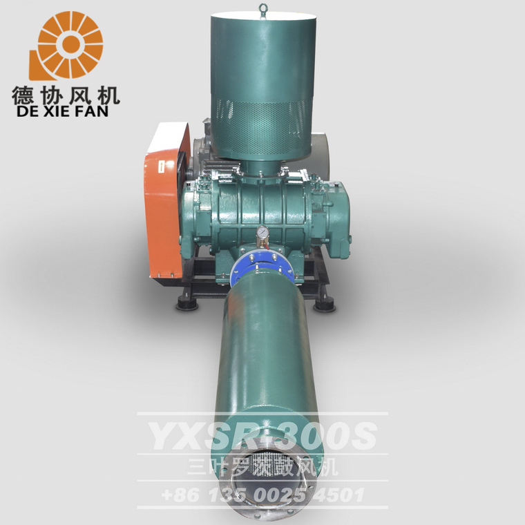 300型羅茨風(fēng)機(jī)