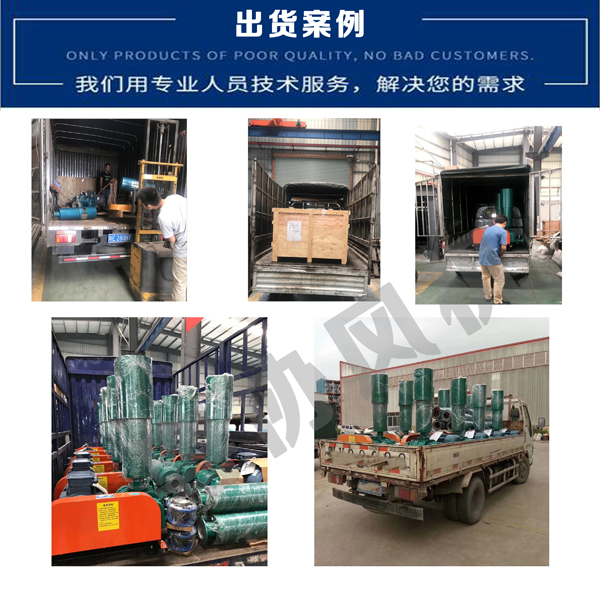 高壓羅茨鼓風(fēng)機(jī) 高壓羅茨鼓風(fēng)機(jī)