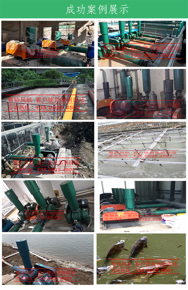 羅茨風機廠家 羅茨風機廠家