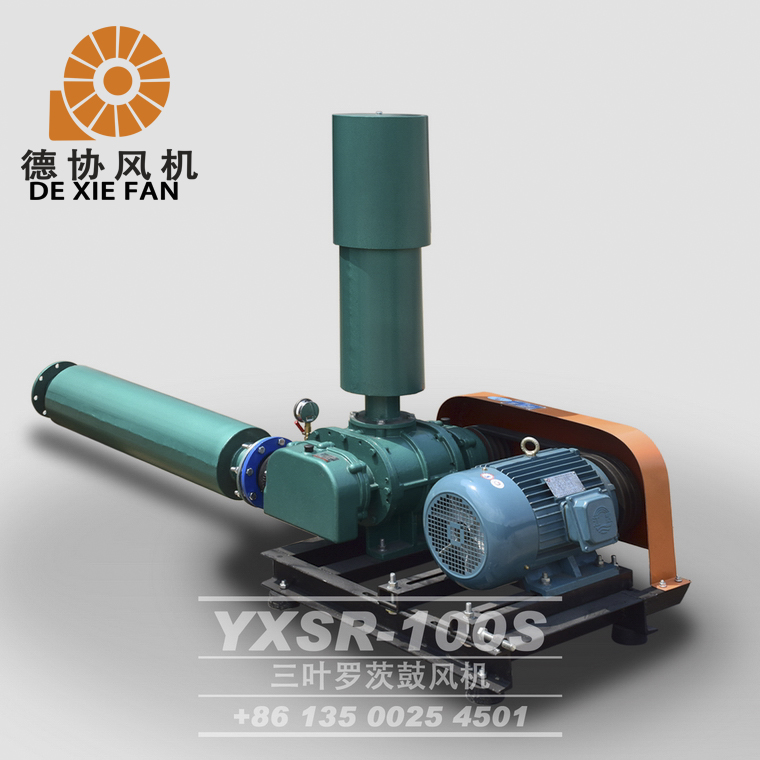 YXSR-100羅茨風(fēng)機(jī)
