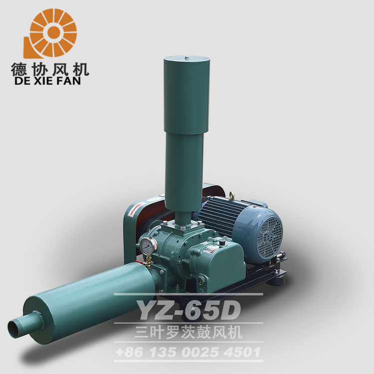 YZ-65水產(chǎn)養(yǎng)殖羅茨風(fēng)機(jī)